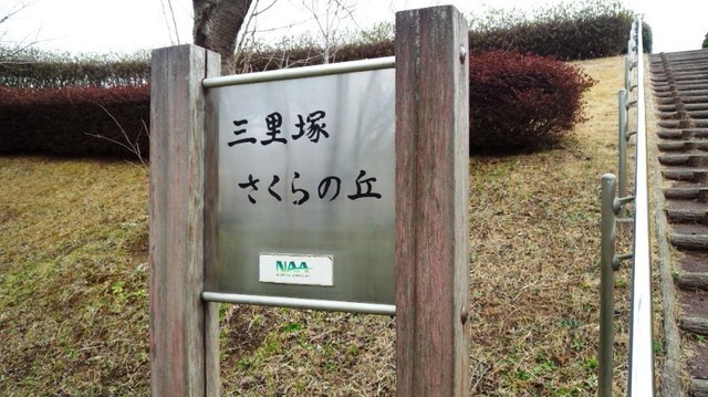 210305_135036.jpg